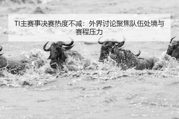 zhu-sai-shi-jue-sai-re-du-bu-jian-wai-jie-tao-lun-ju-jiao-dui-wu-chu-jing-yu-sai-cheng-ya-li-2-959.jpg